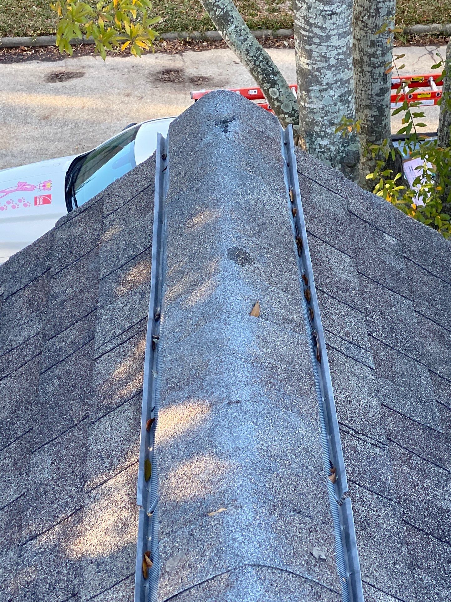 Residential Roofing Repair using Owen's Corning Duration (Lifetime) Shingles by Roof Repair Services LLC