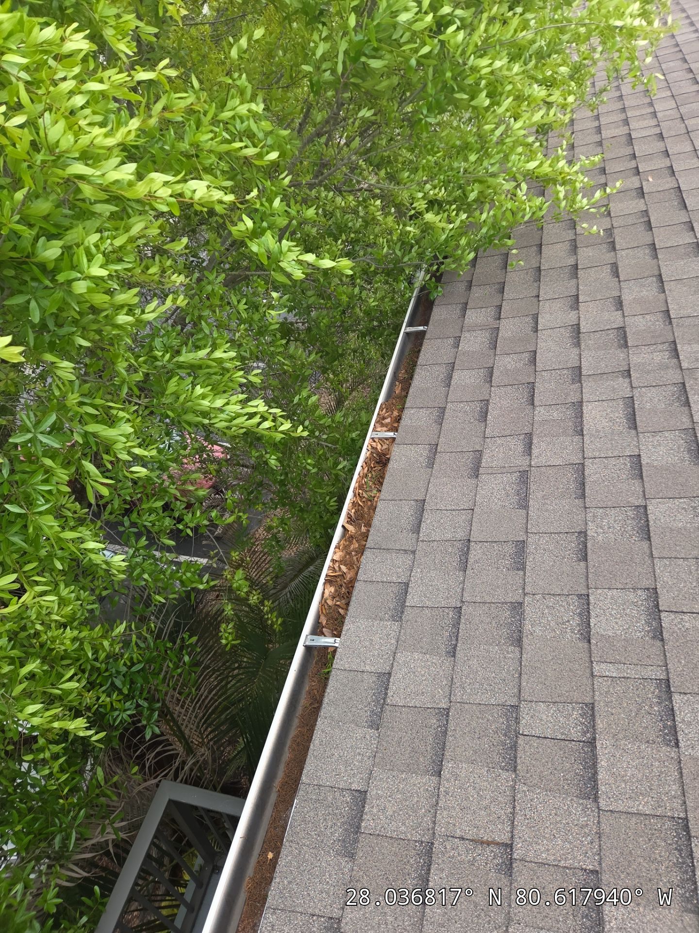 HOA gutter cleaning before photo