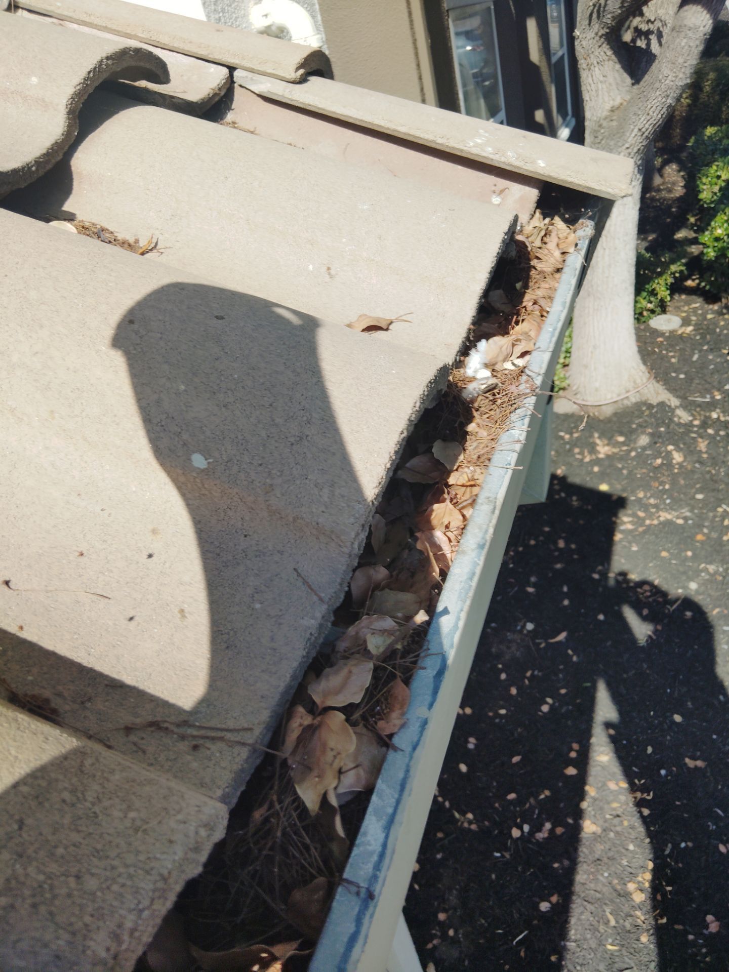 Commercial gutter cleaning San Jose before photo with filled gutters