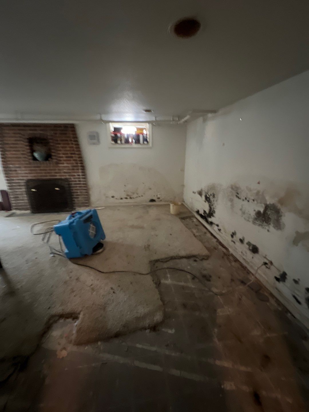 Mold Remediation by Accountable Home Services