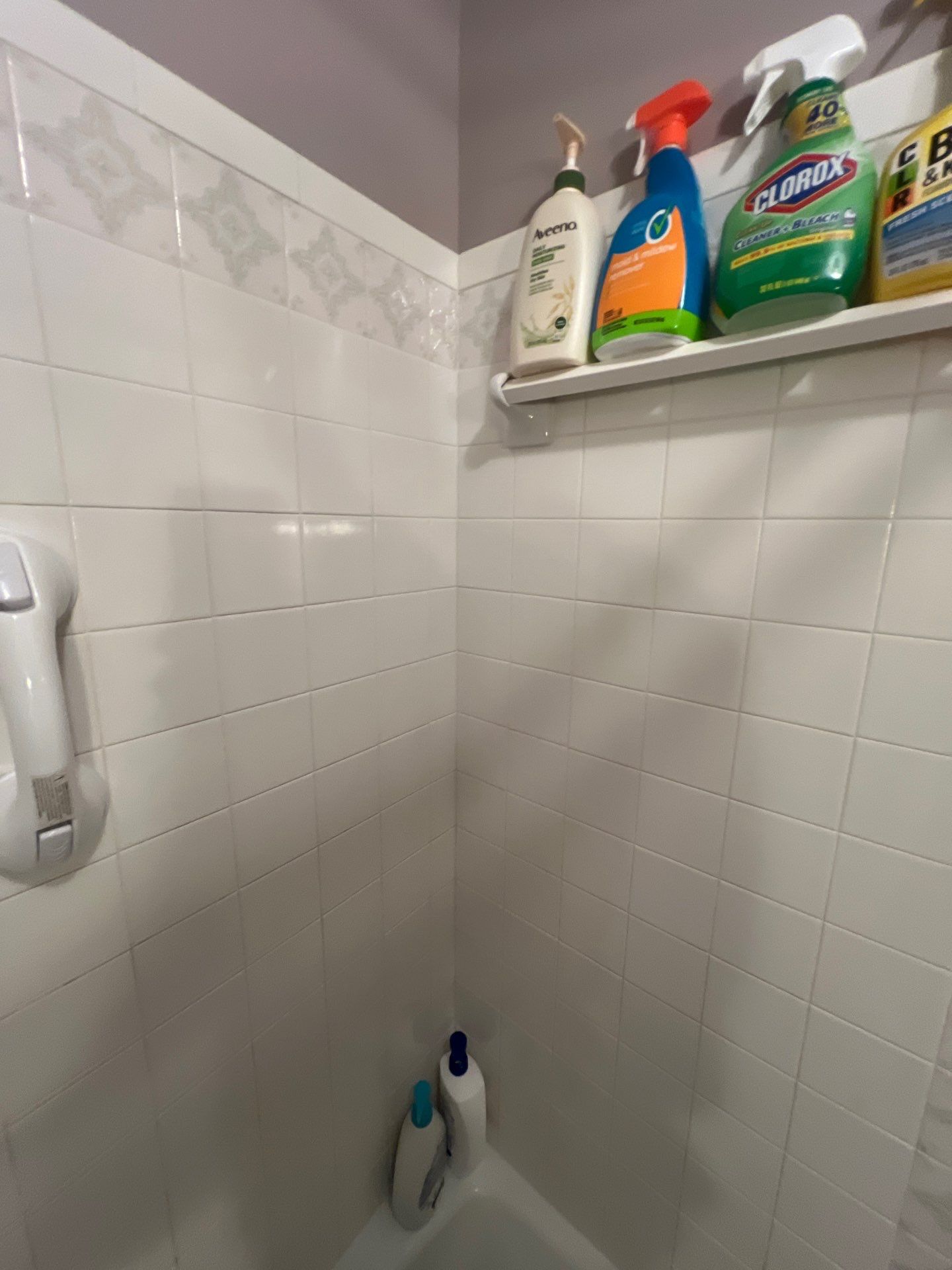Bathroom Remodel using Onyx by The Shower Company