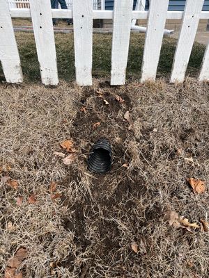 Bowing Wall using Fortress Invisibeams 