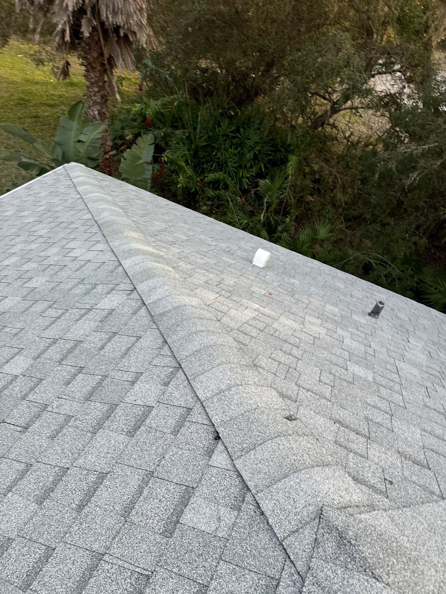 Shingle Reroof Replacement Pierson FL by Pinnacle Roofing Group