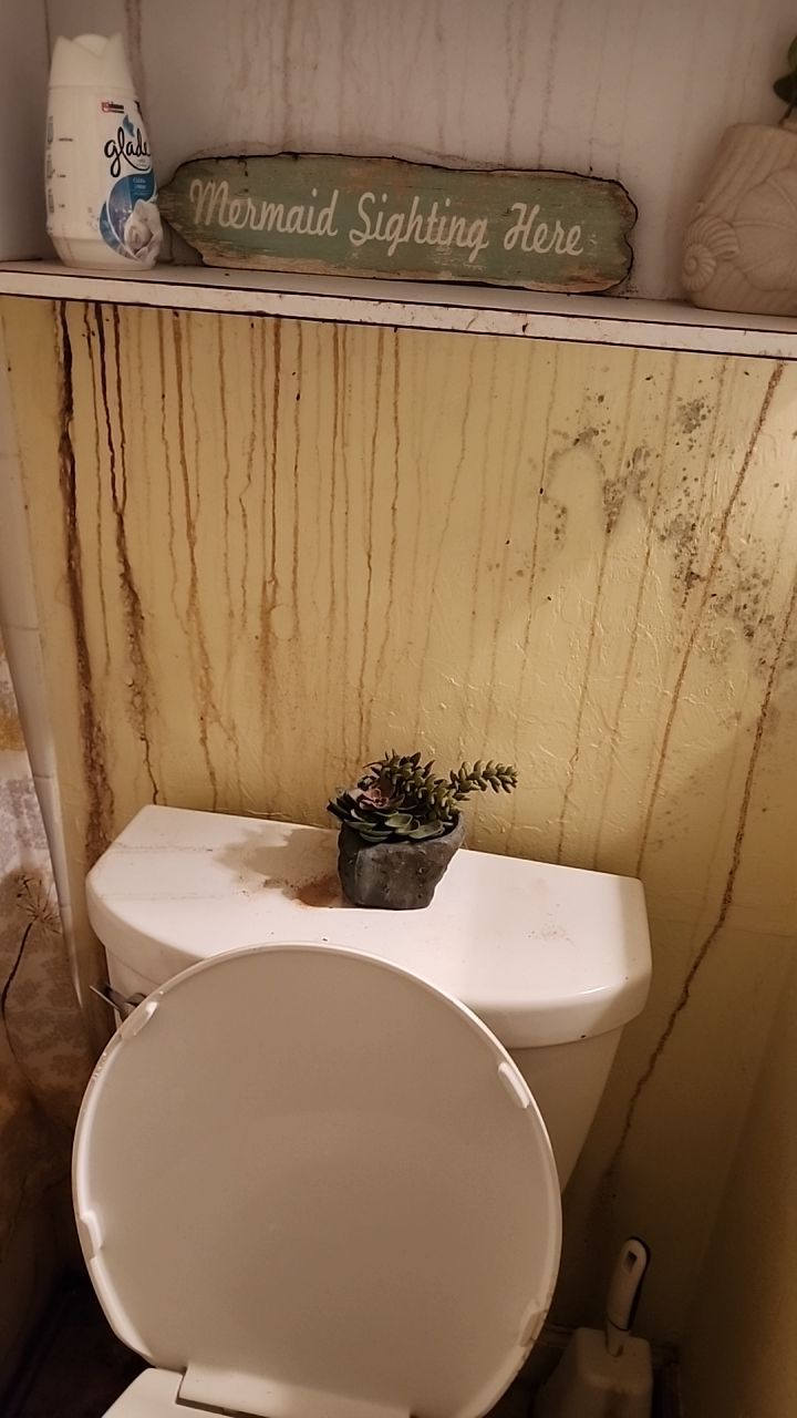 Damage caused from leaking water hea  er by Building performance Solutions LLC
