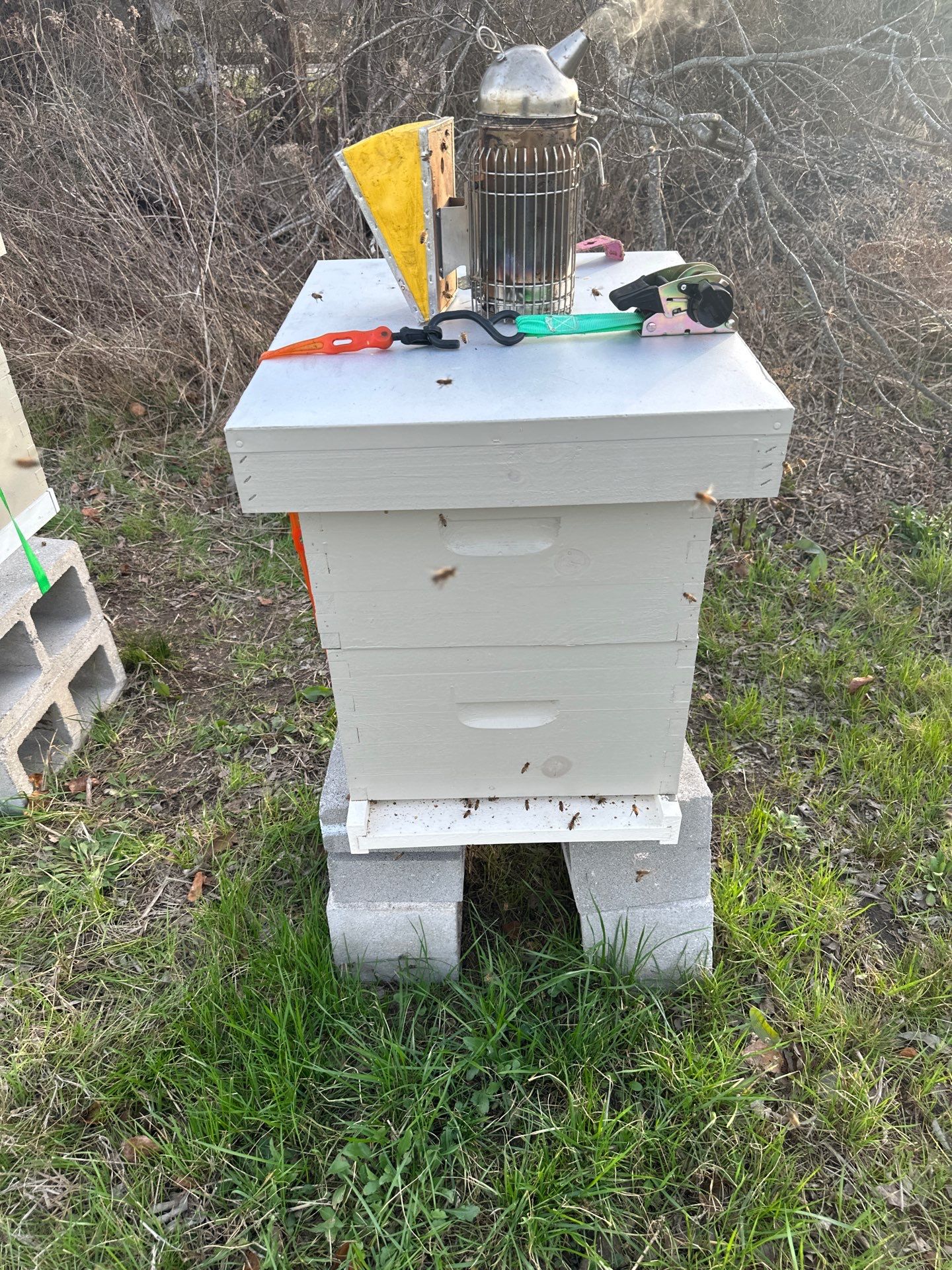 Honey-Maker Apiary in Greenville by Rockwall Honey Bee Company