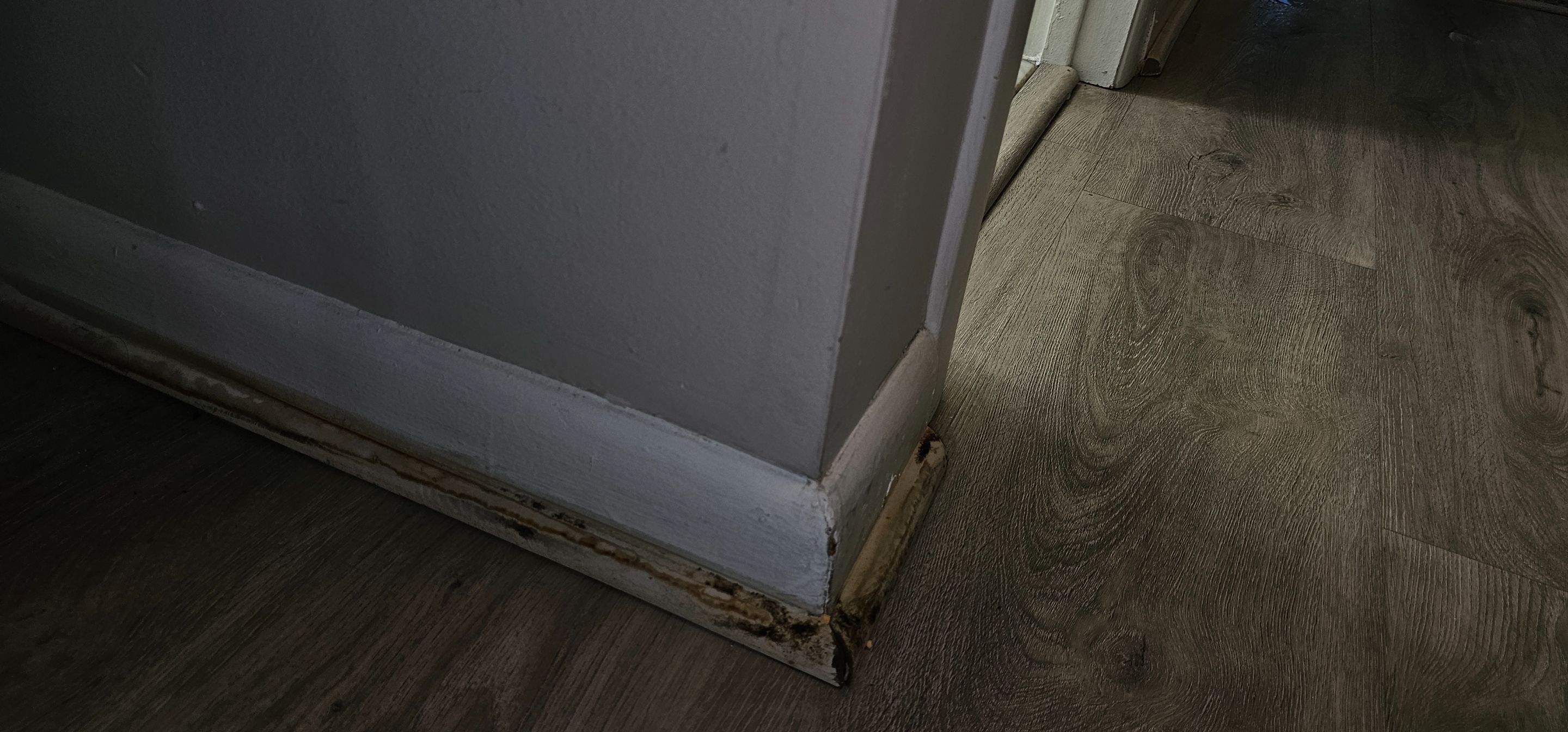 Water Damage Claim in Deerfield Beach by FLAPA & KeyStone