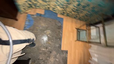 Mold Remediation — Bonita Springs, FL