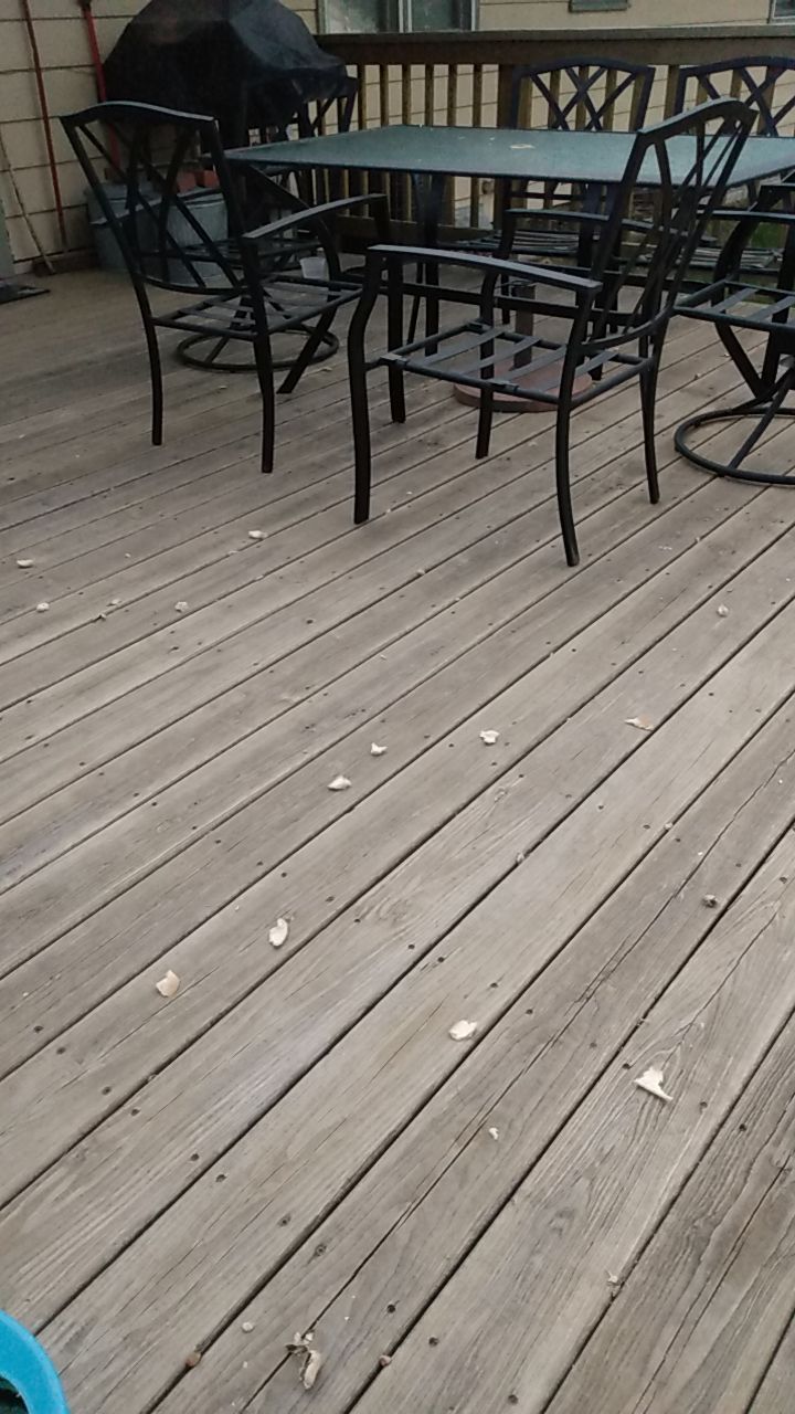 Exterior Painting using Sherwin Williams Paint by Cutting edge painting 