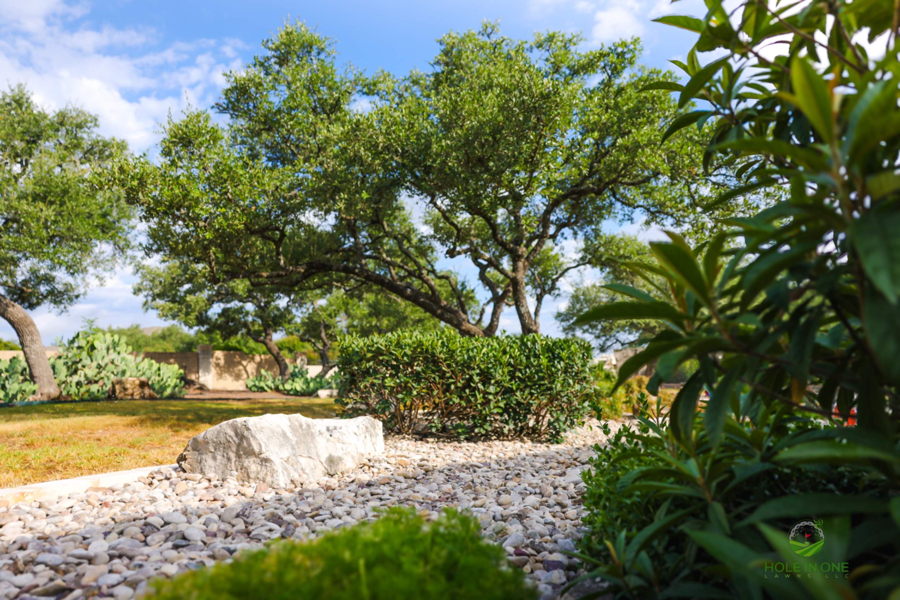 The Heights Of Stone Oaks, San Antonio Tx. by Hole In One Lawns, LLC