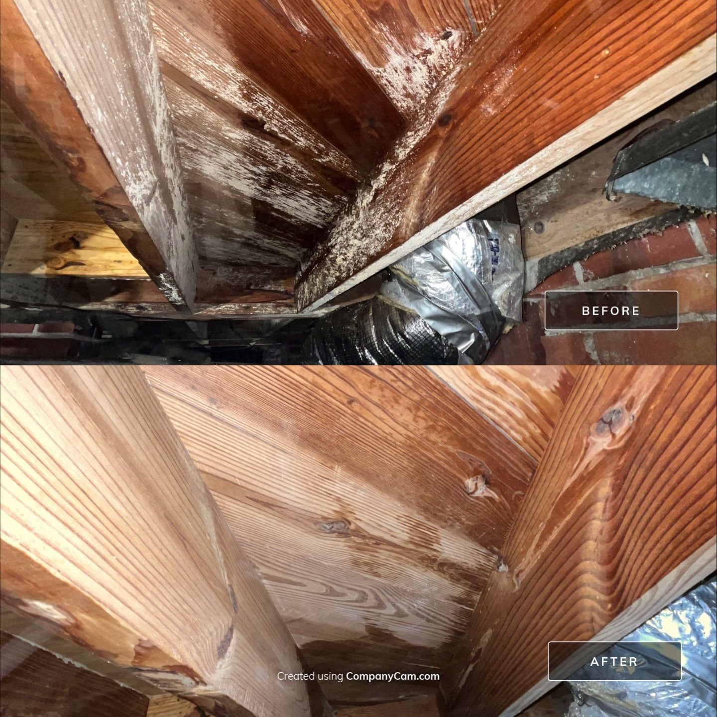 Limited Mold Remediation by EAS Environmental, LLC.