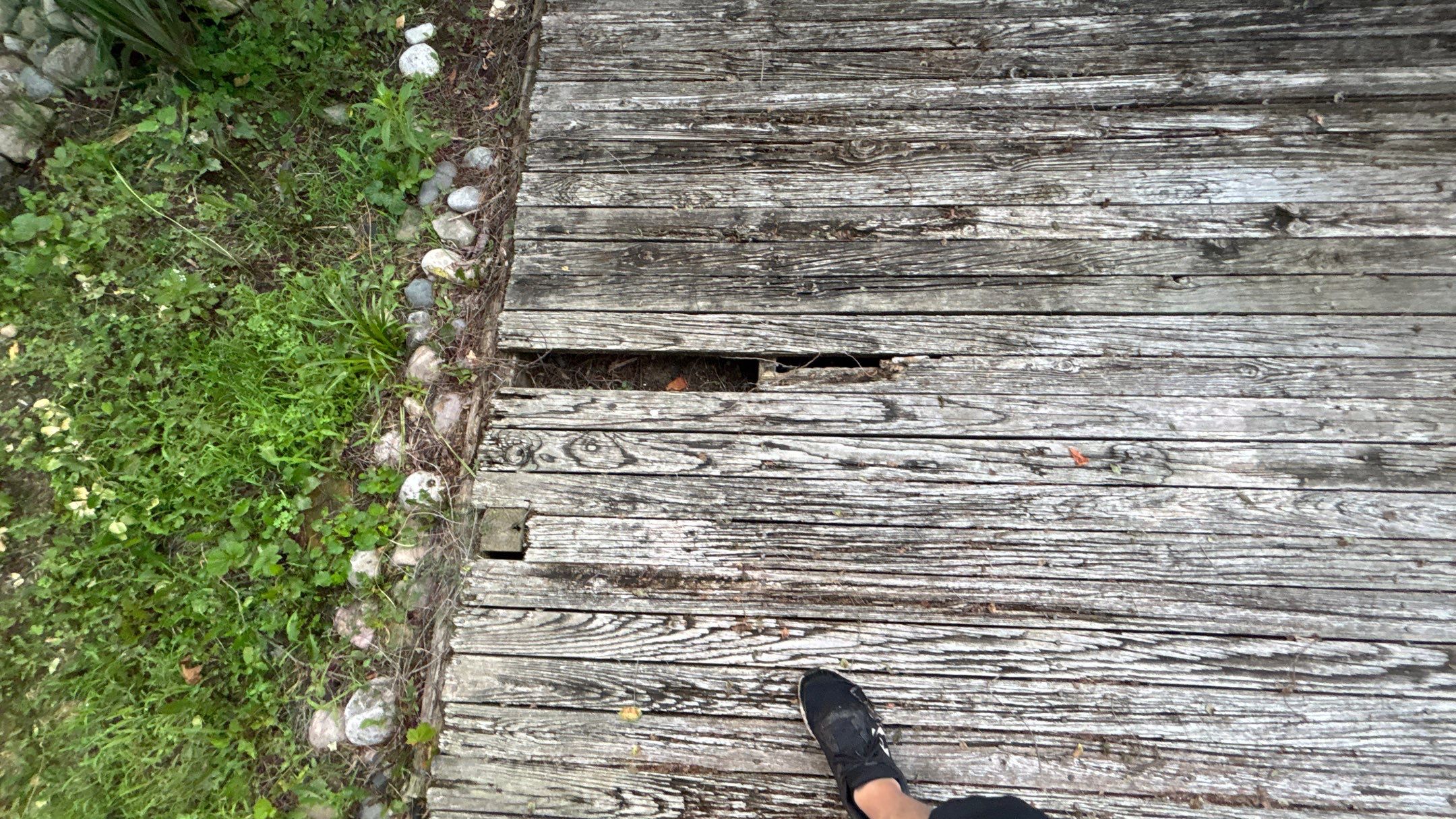 Roof Replacement using Owens Corning Summer Harvest by 180 Contractors