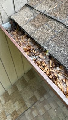 Turtle Shell gutter protection installation in Naperville, IL 60563, photograph 15
