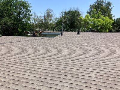 Roof Replacement - 78239