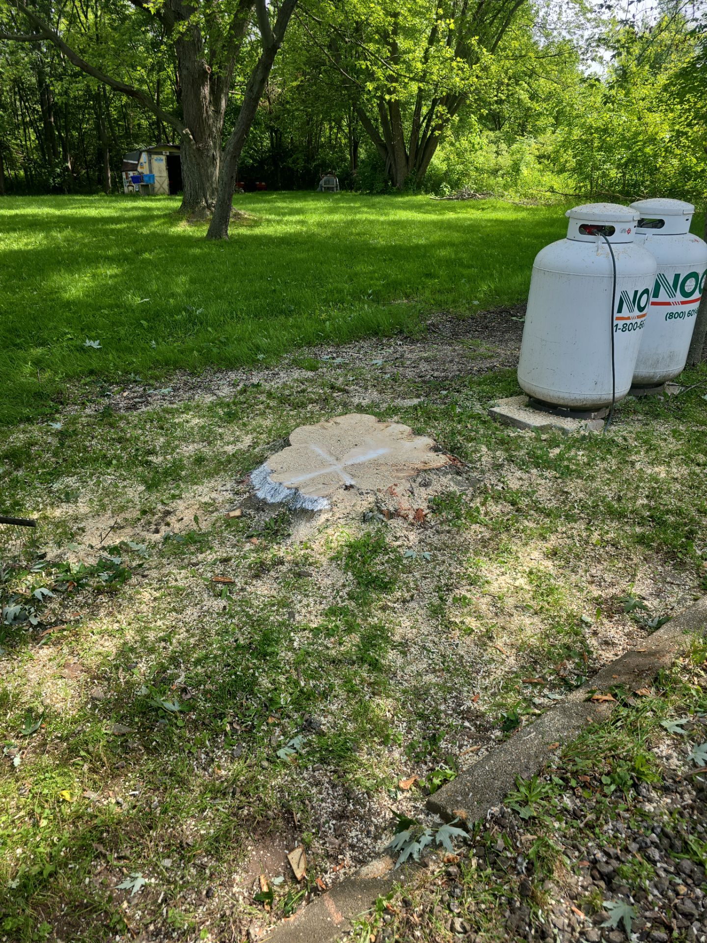 Removal for Future Projects by Treeman Tom LLC