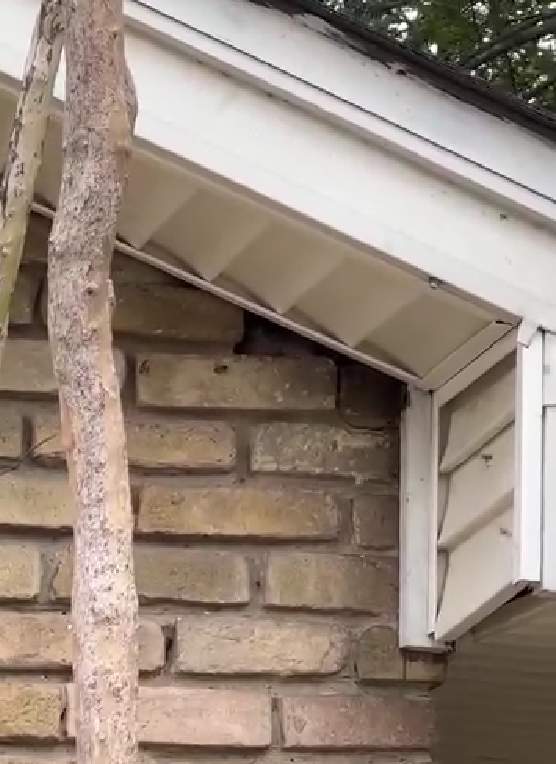 First of 2025 by Rockwall Honey Bee Company