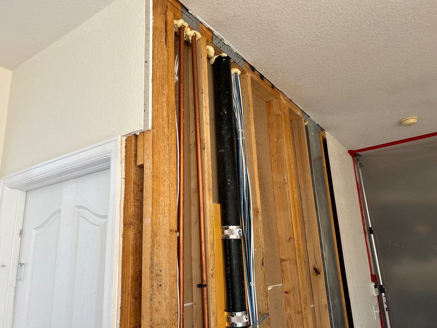 Mold Remediation by Accountable Home Services