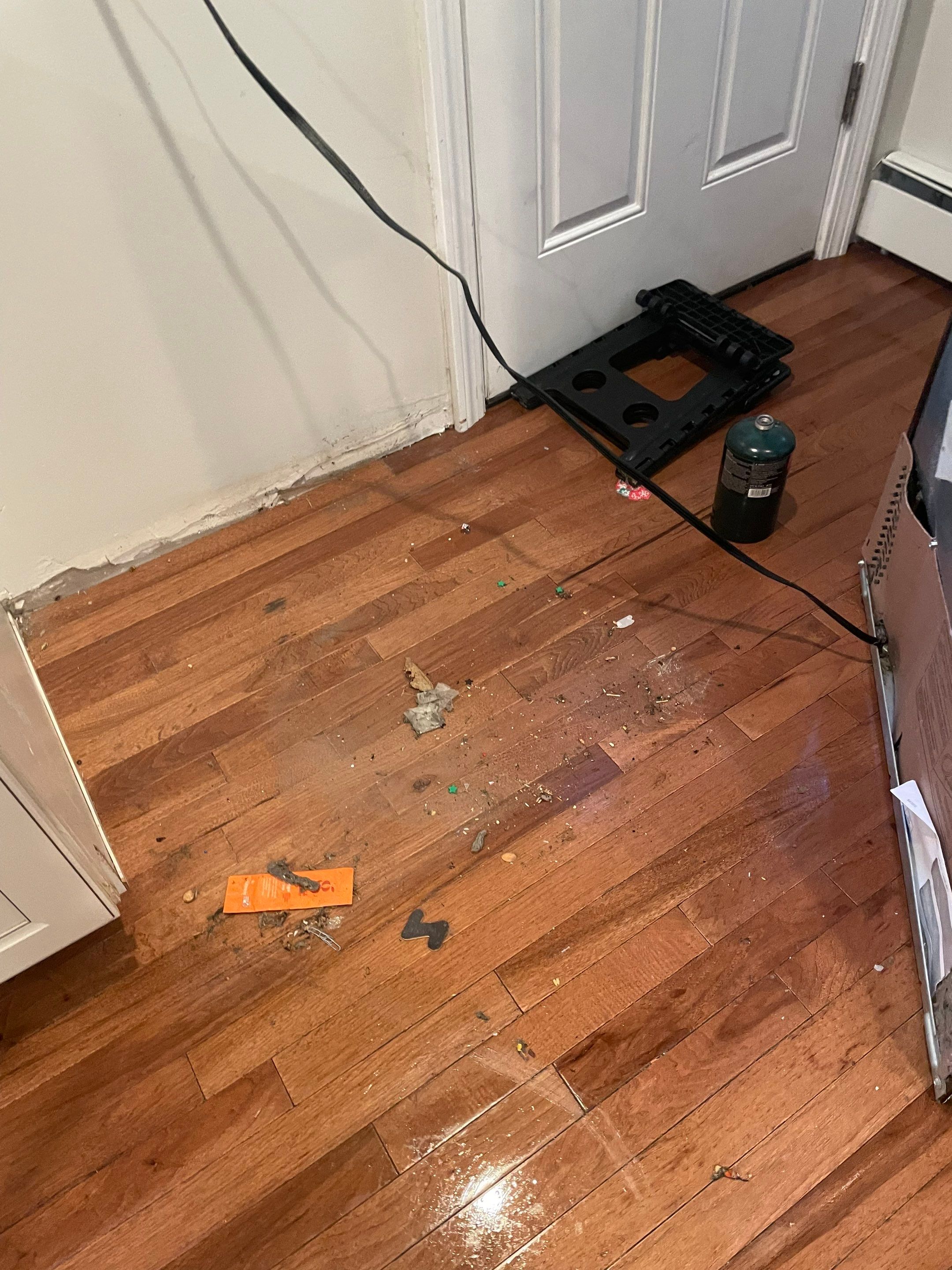 Project in Millbury by Mg House Cleaning
