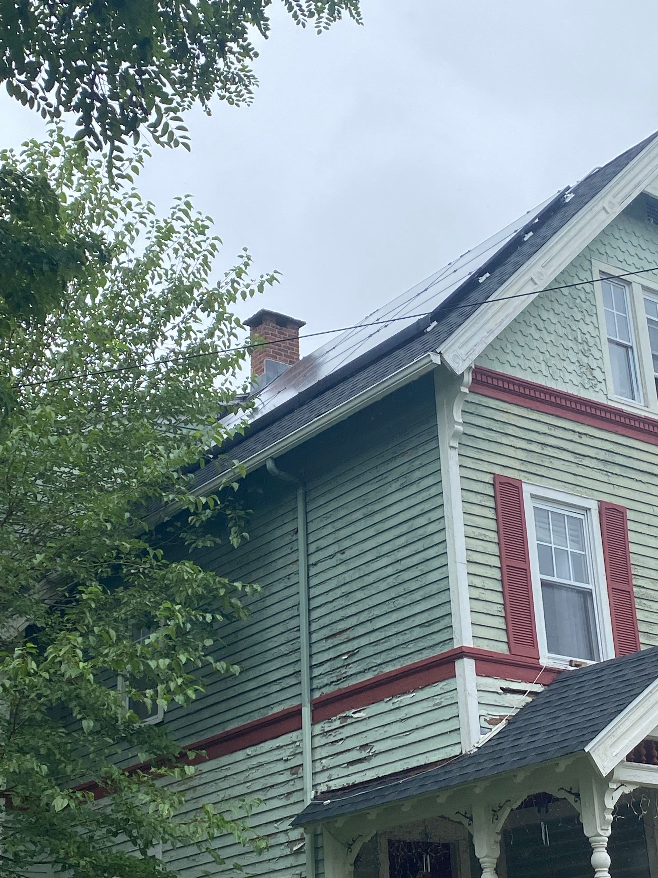 Silver Birch Shingles by Reimagine Roofing