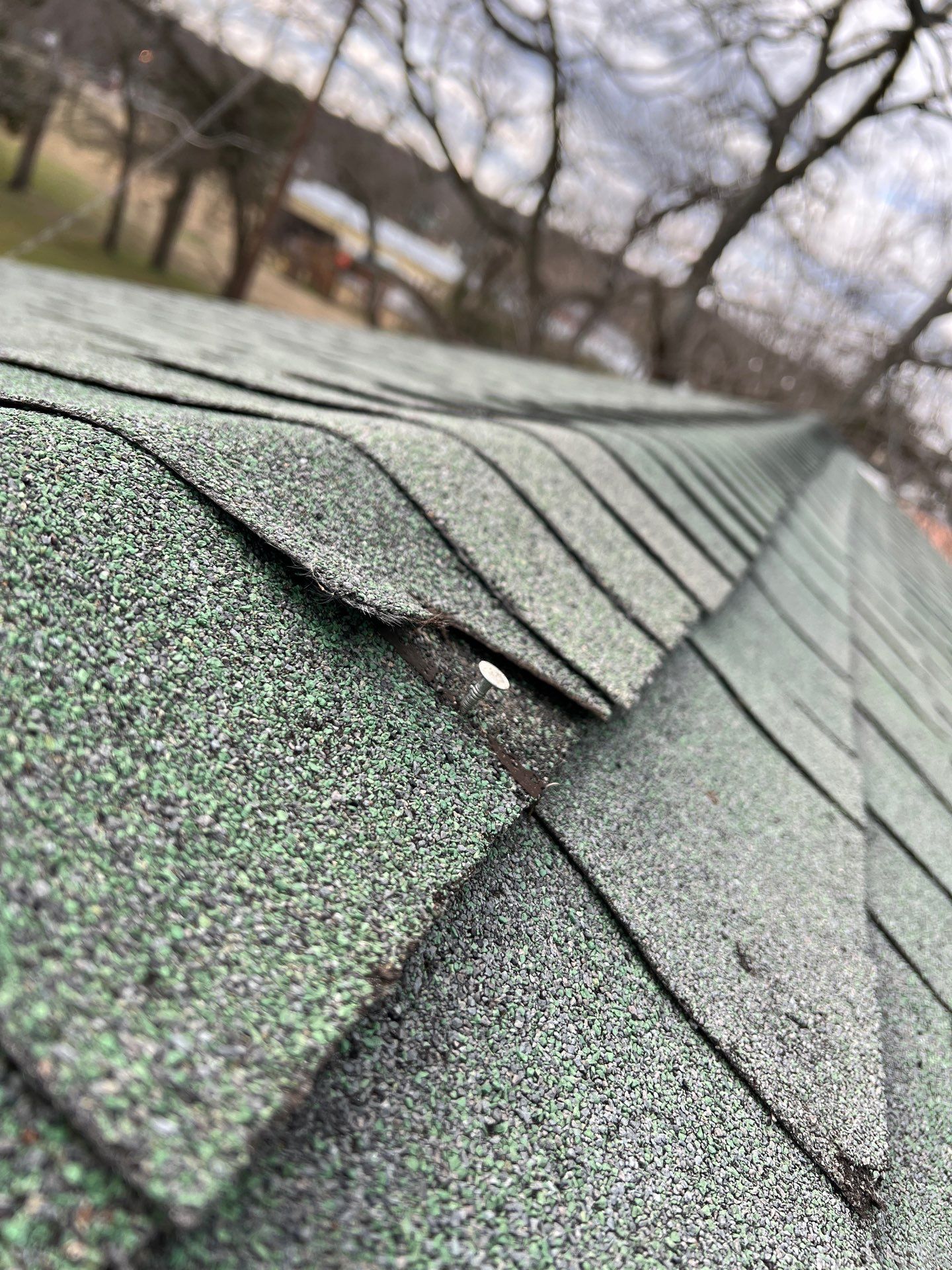 Class 3 Impact Resistant Shingles.  by In & Out Construction & Remodeling, LLC