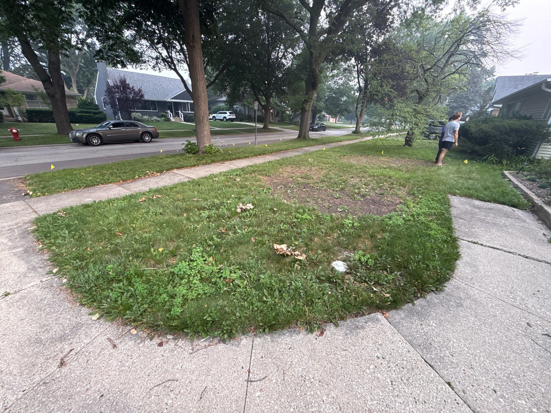 Allison C. - Arlington Heights, IL by A&N
