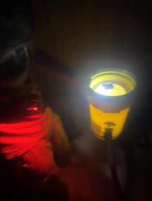 Bumble Bees in a Garage