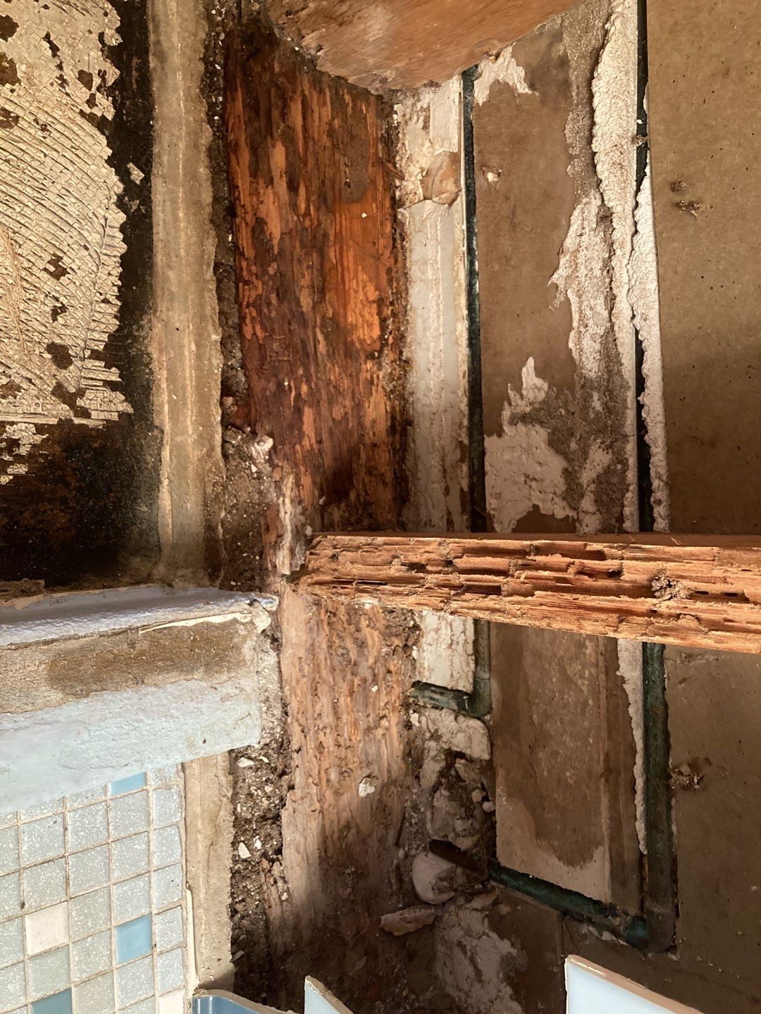 Water Damage Repair by Accountable Home Services