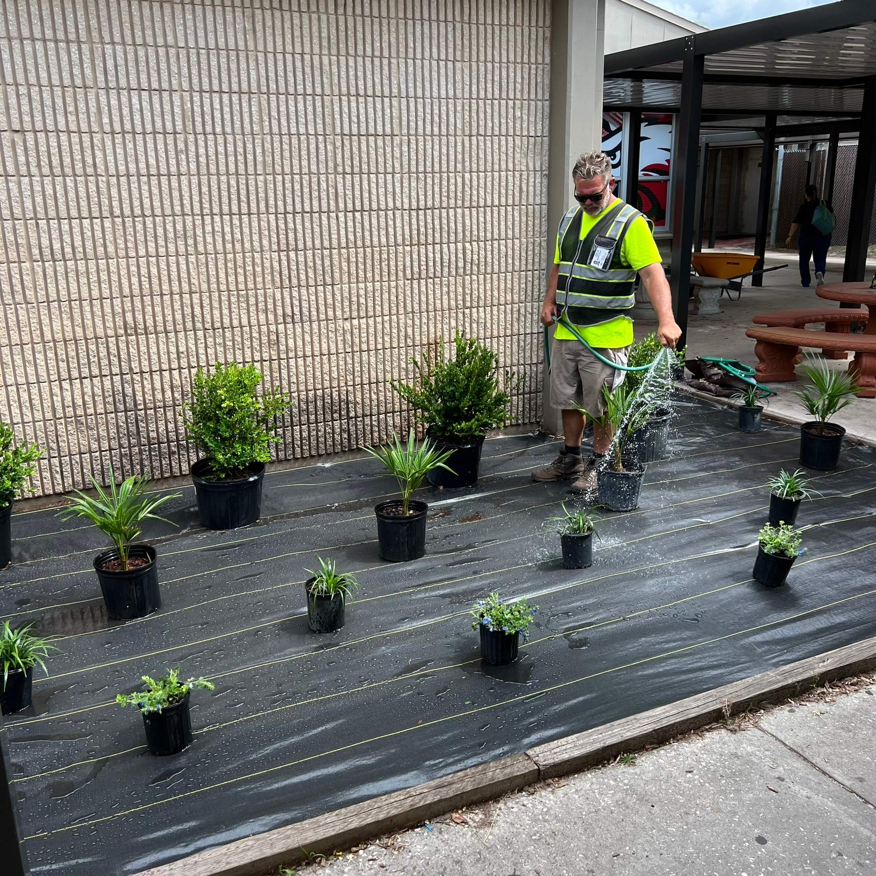 Landscape Install | Wilkinson JHS by ProGreen Services