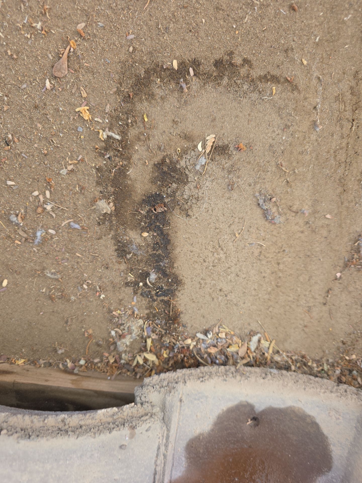 Protect Your Investment: Arizona Roofing Company's Expertise at Work! by Weather-Tite Roofing