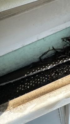 Turtle Shell gutter protection installation in Plainfield, IL 60585, photograph 4