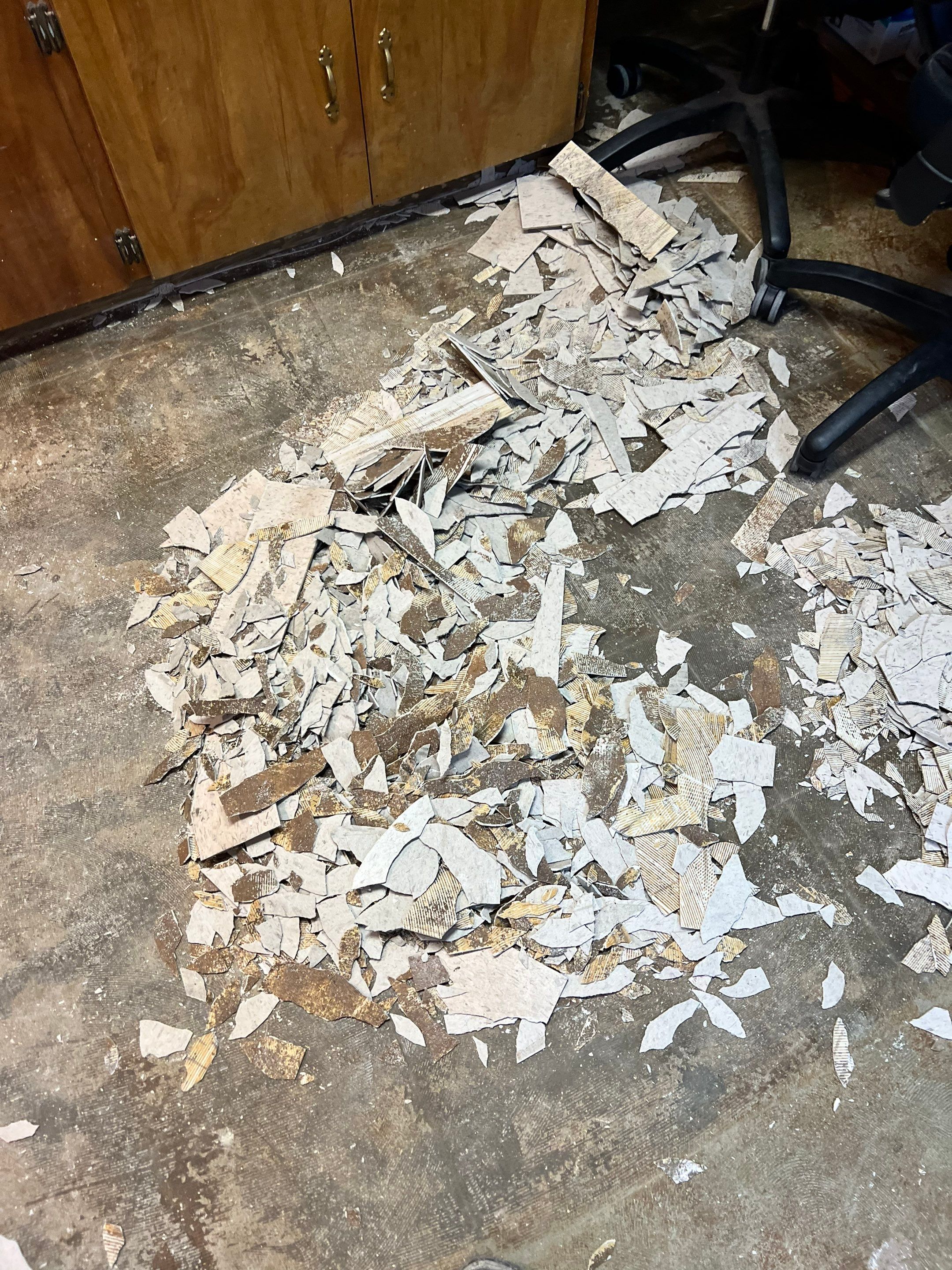 York Animal Clinic by Granite Garage Floors