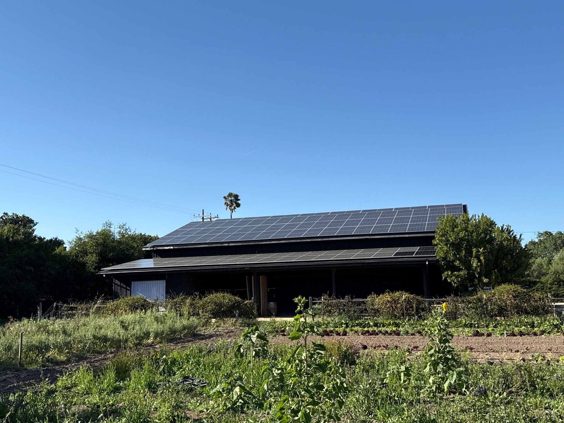 Sol-Ark Solar Install