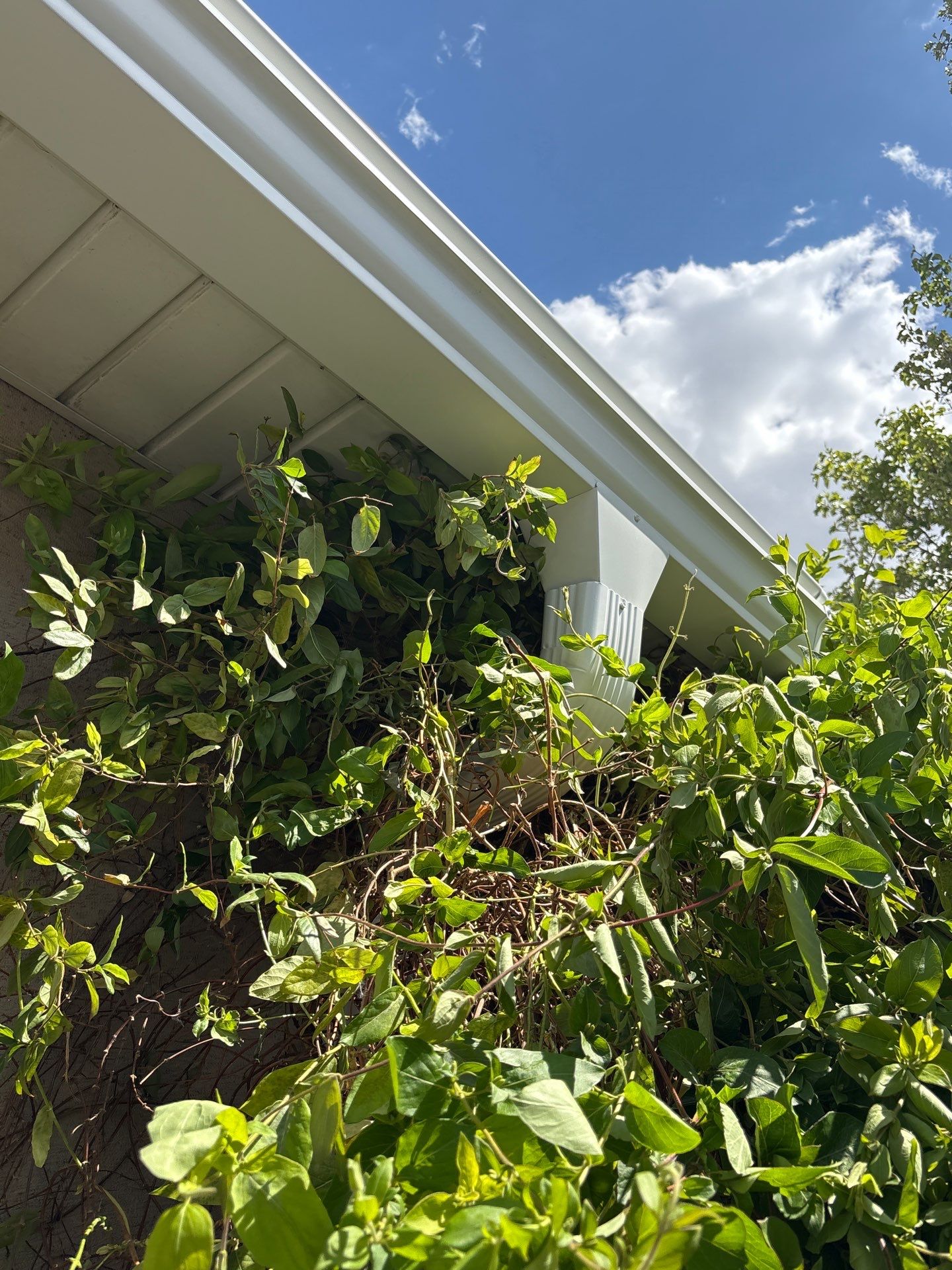 Project in Riverton by Emerald Gotcha Gutters 