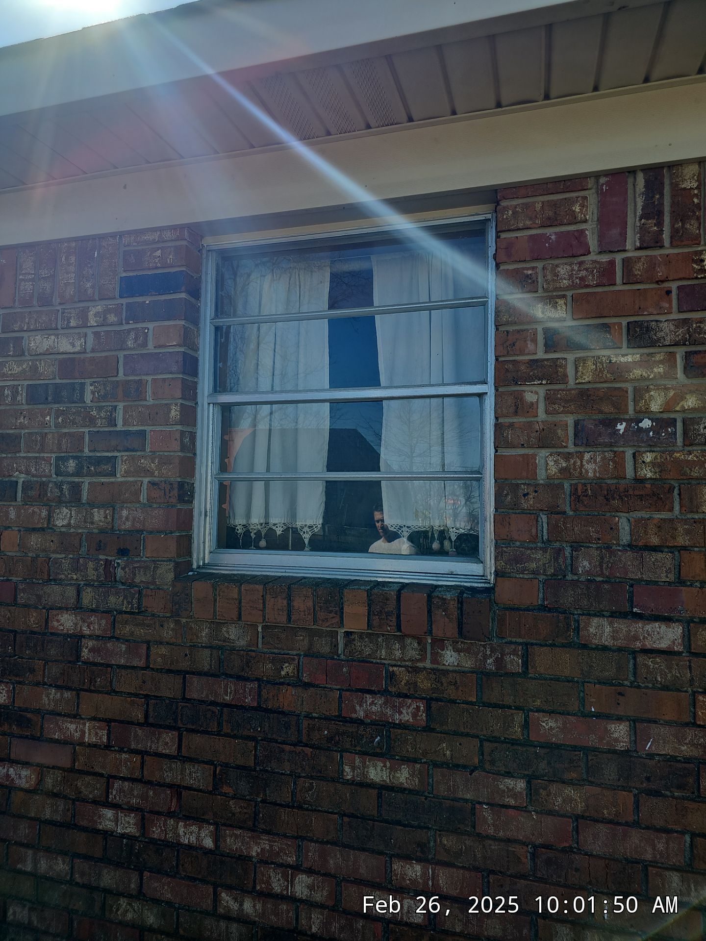 Boyd Project in Tuscaloosa  by The Window Source