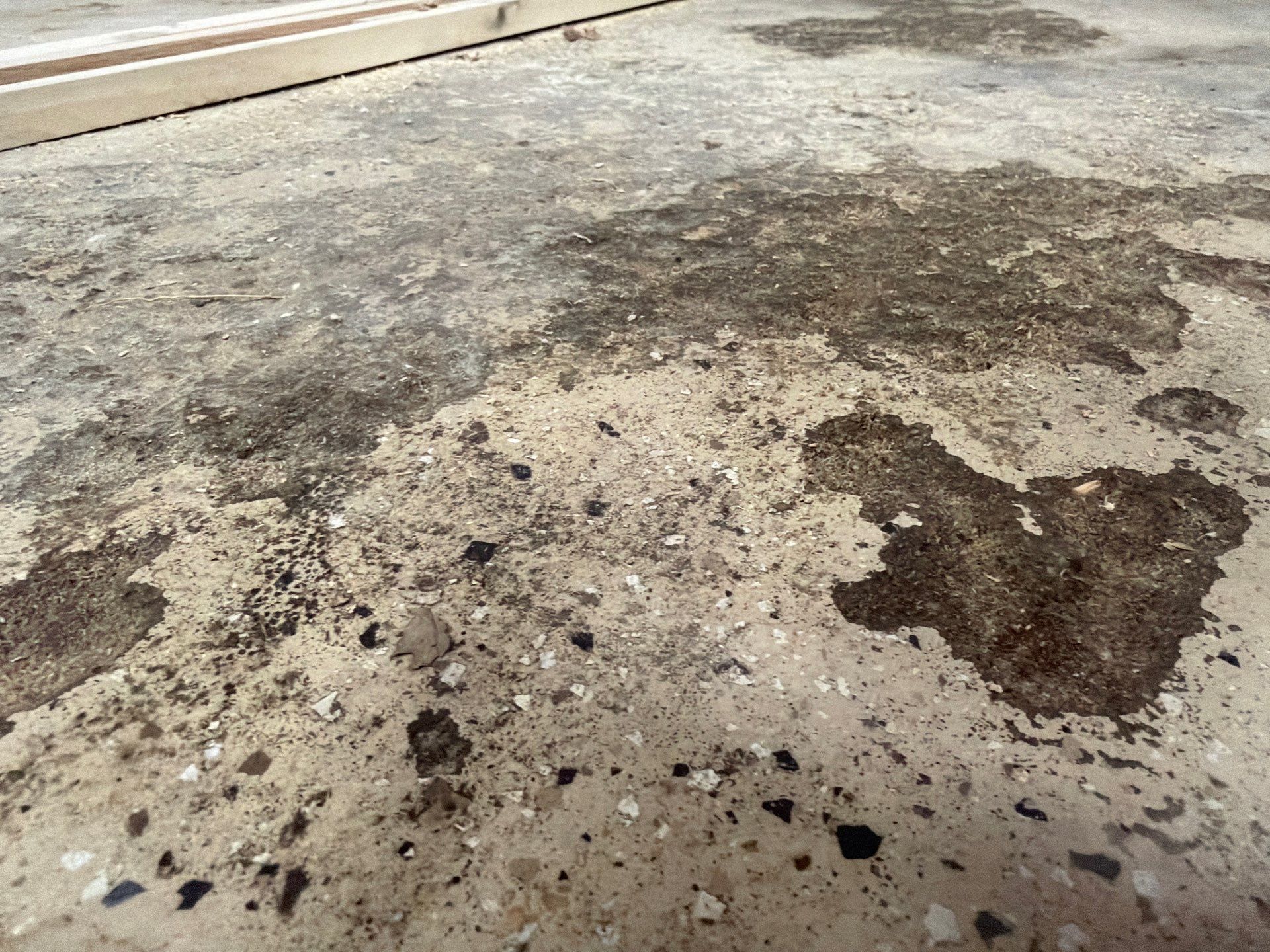 Nightfall Decorative Chip Garage Floor Coating in Luverne, Minnesota by Select Painting, Coatings & Garage Cabinets