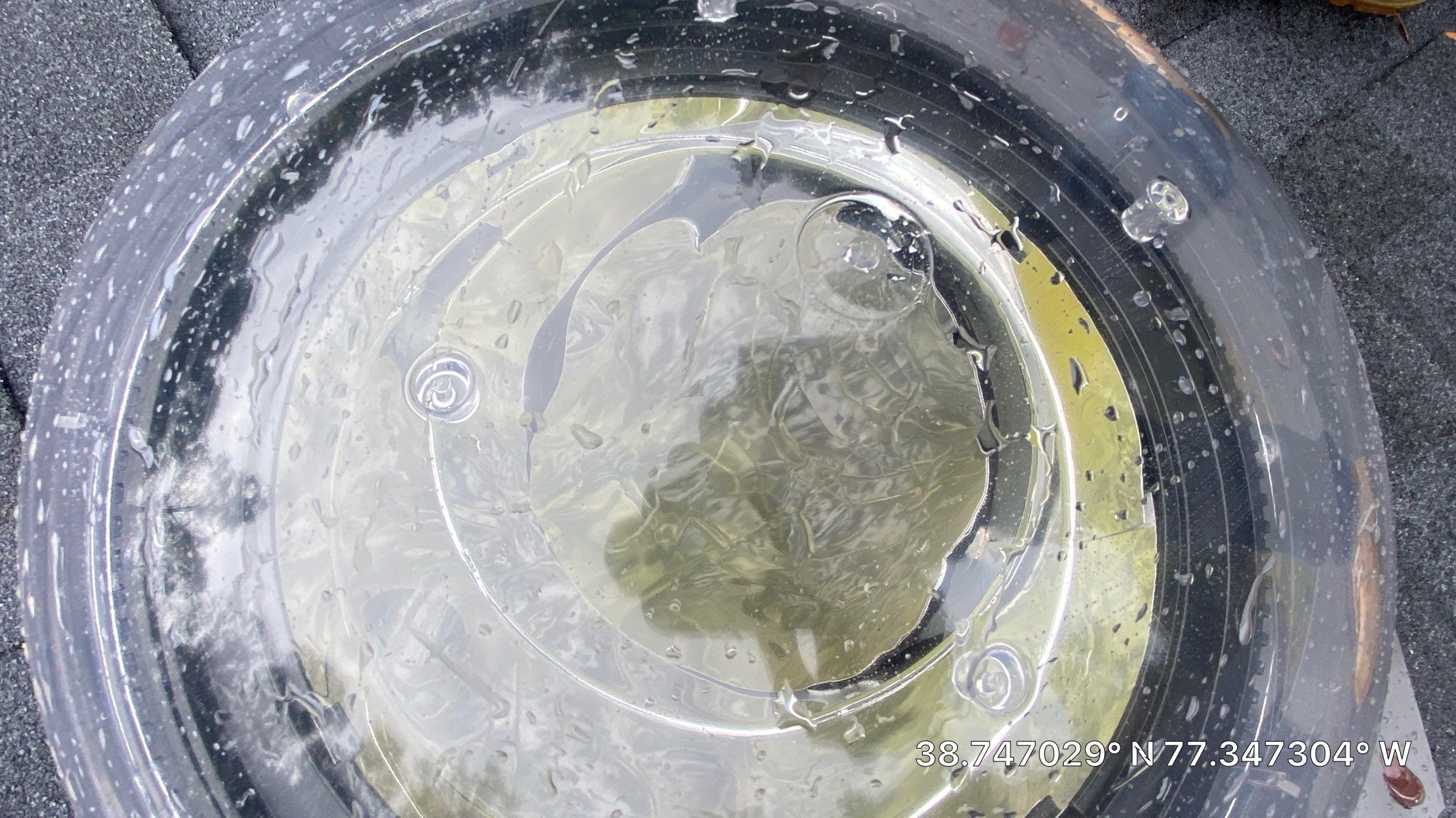 Fairfax Station: Multi-Trade Tree Damage Restoration by RM Banning, Inc.