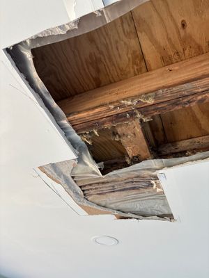 Emergency Water Extraction — Naples, FL