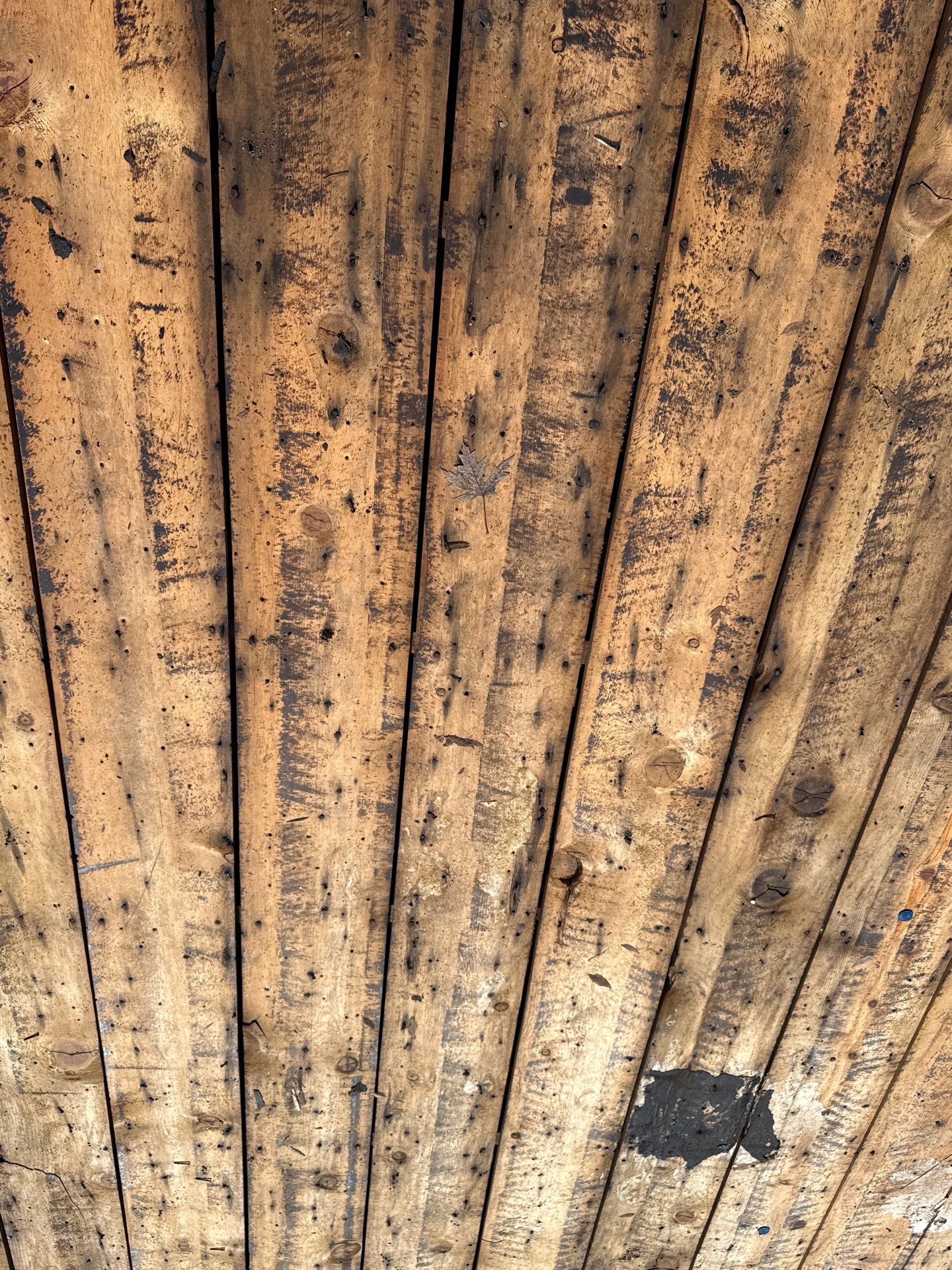 Residential Roof Replacement and Eave Repair in Boise, Idaho by Olive Roofing