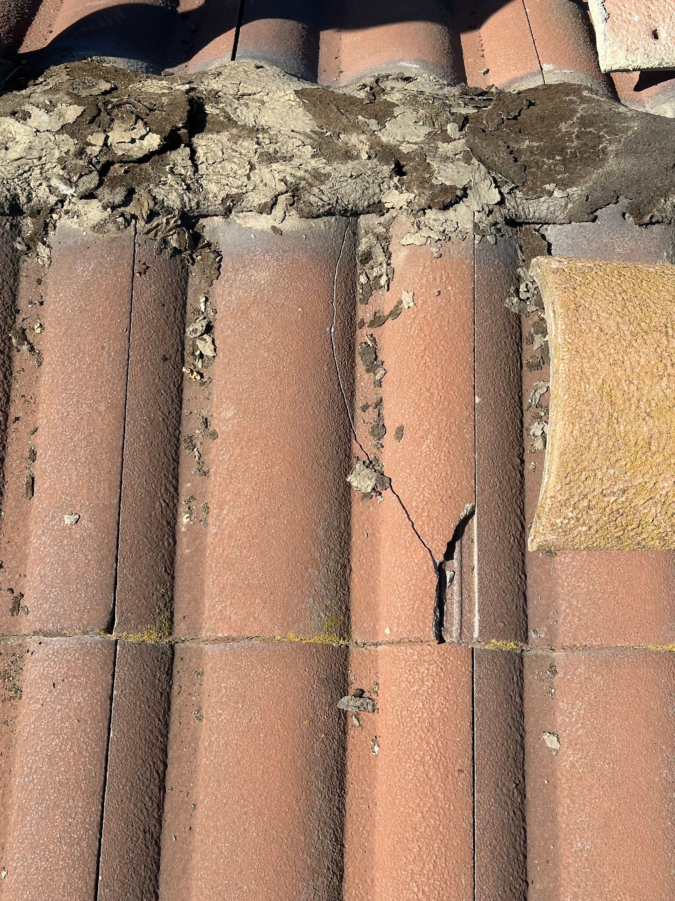 Tile Roof repair by Grandmark Service Company