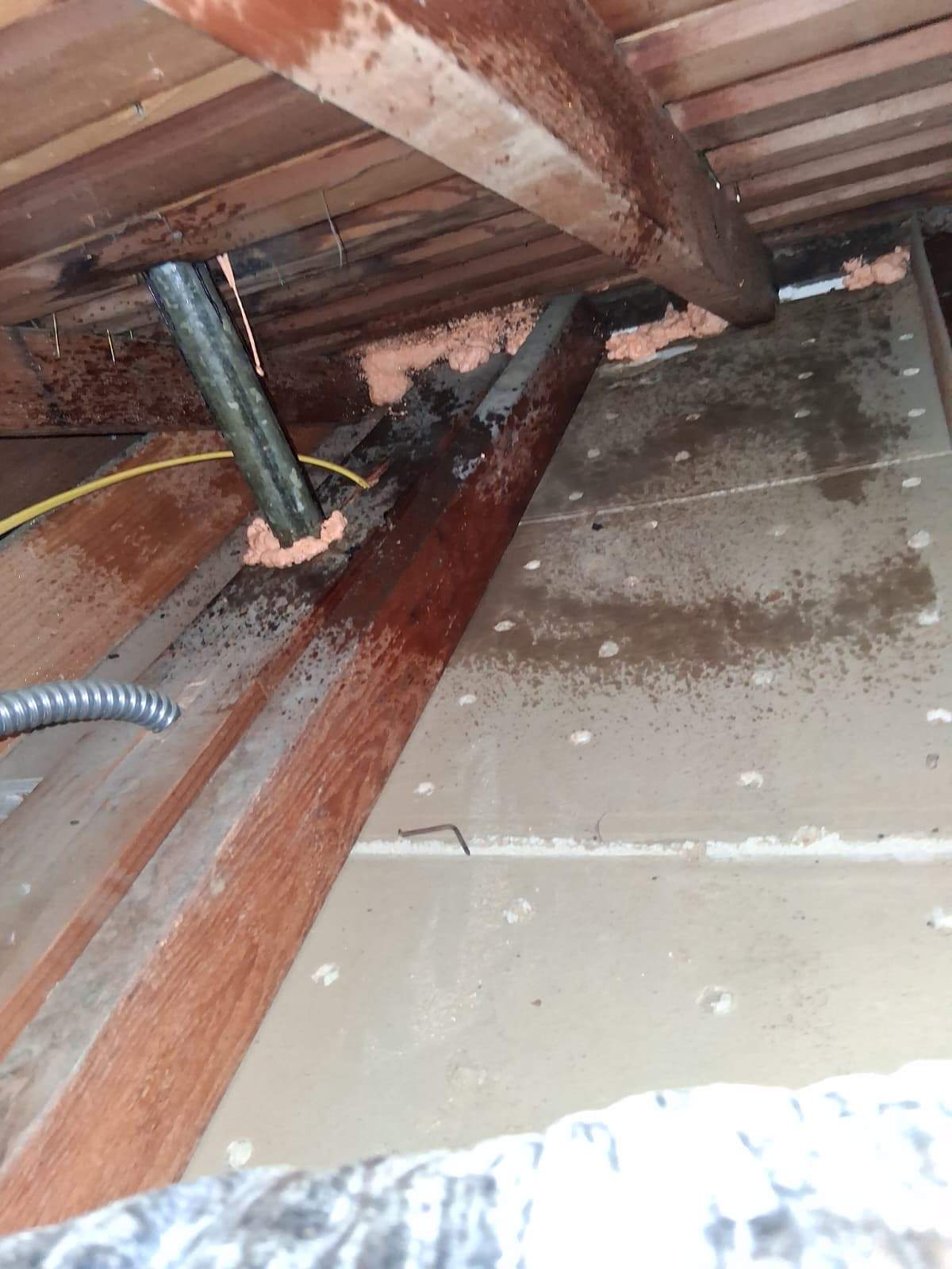 Project in Newport Beach by Advanced Attic Solutions