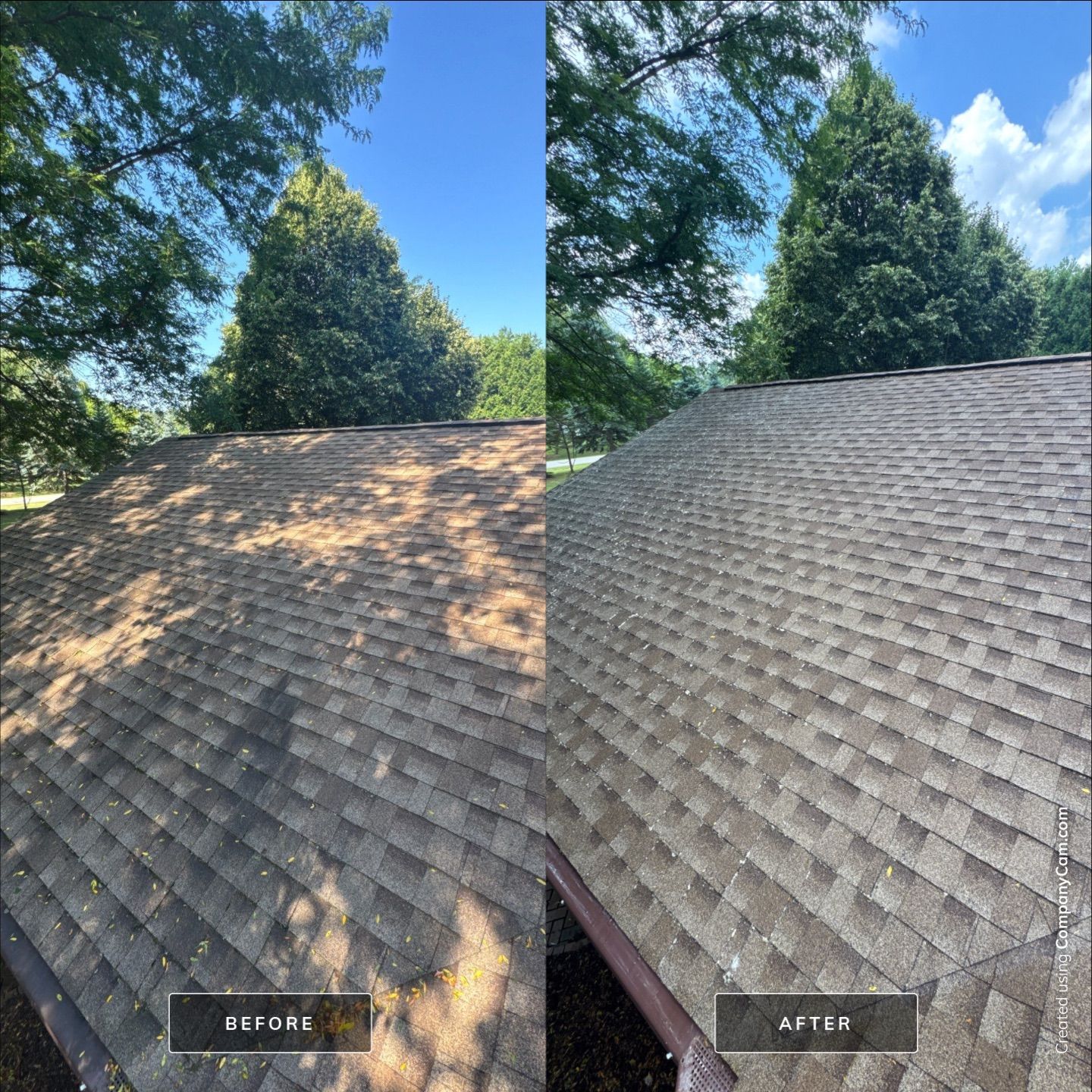 Project in Richmond by Simmons Power & Soft Washing