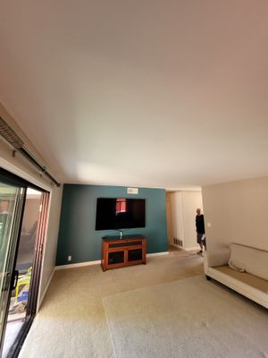 Mike And Lilys Popcorn ceiling removal