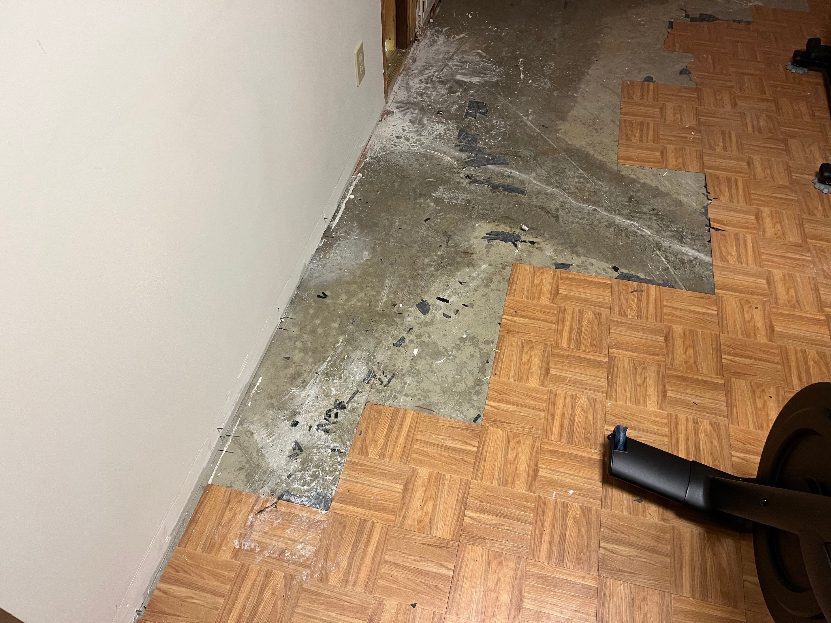 Water Mitigation and Restoration by ANR Restoration