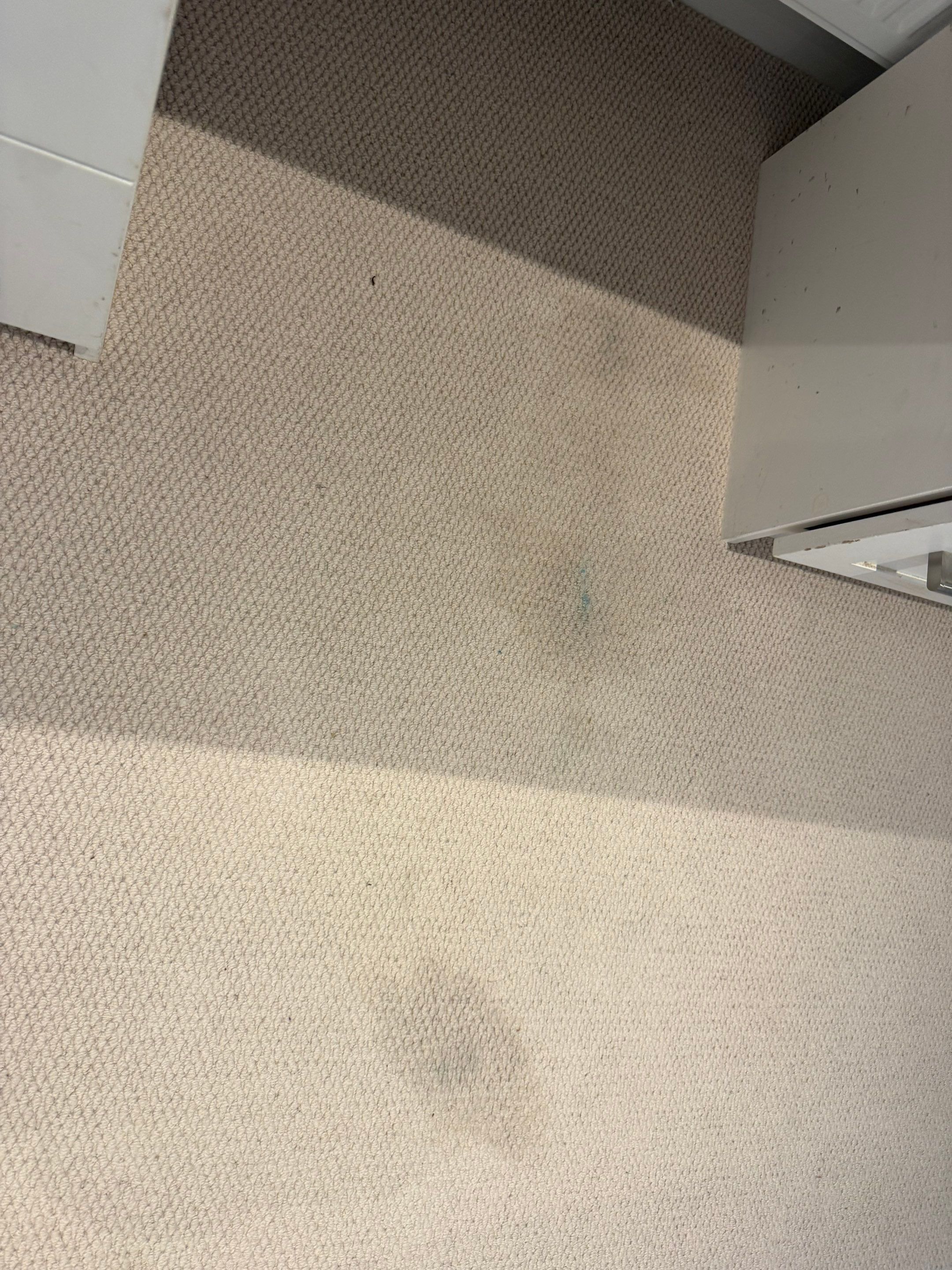 Carpet and Upholstery cleaning by Ges Exterior Cleaning ltd