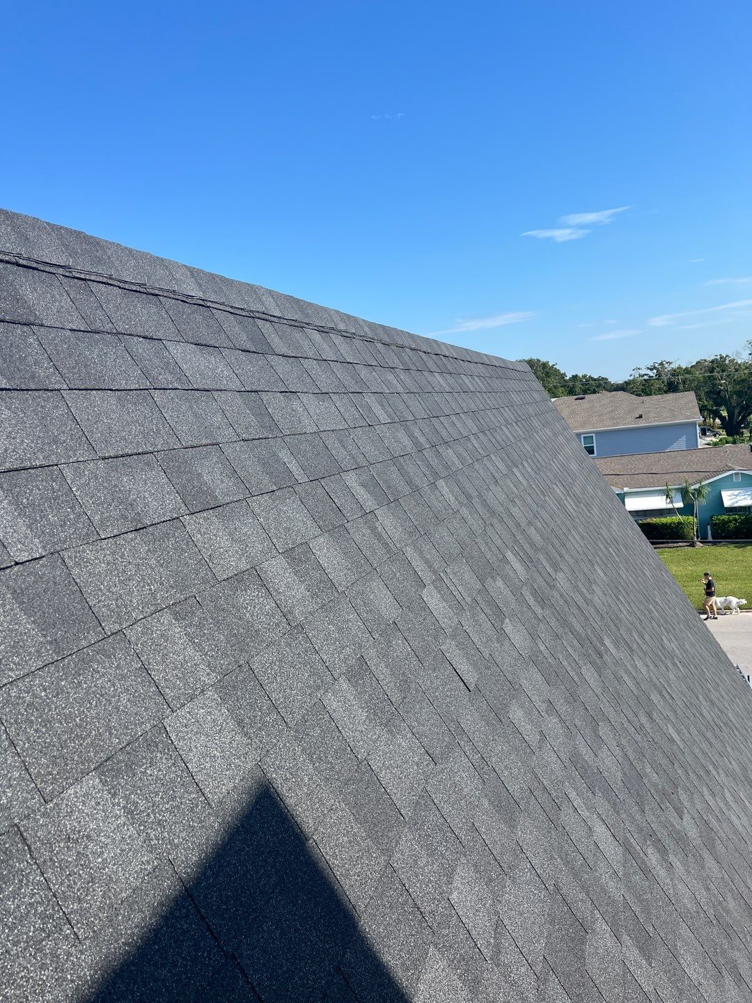 Tampa- Shingle Roof  by Evans Roofing of Tampa Bay 