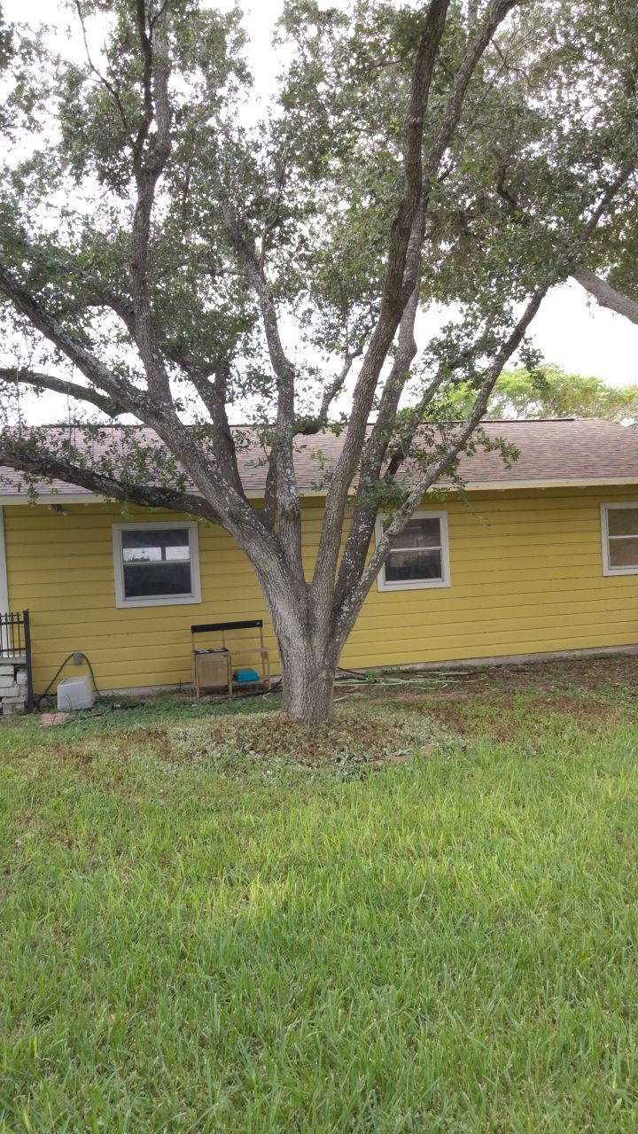 Tile off Bullet Proof on by Bayfront Roofing and Construction