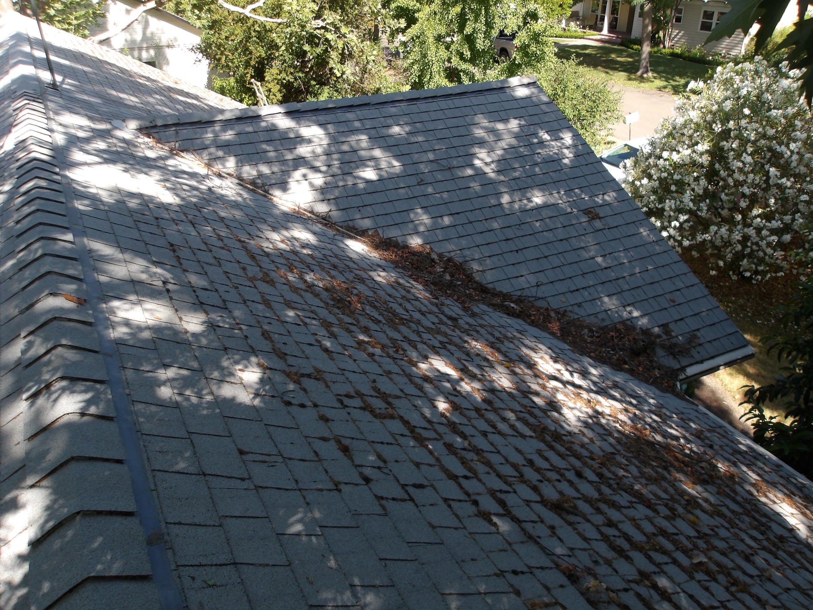 Roof Restore using Pressure Washer by Byers Enterprises 