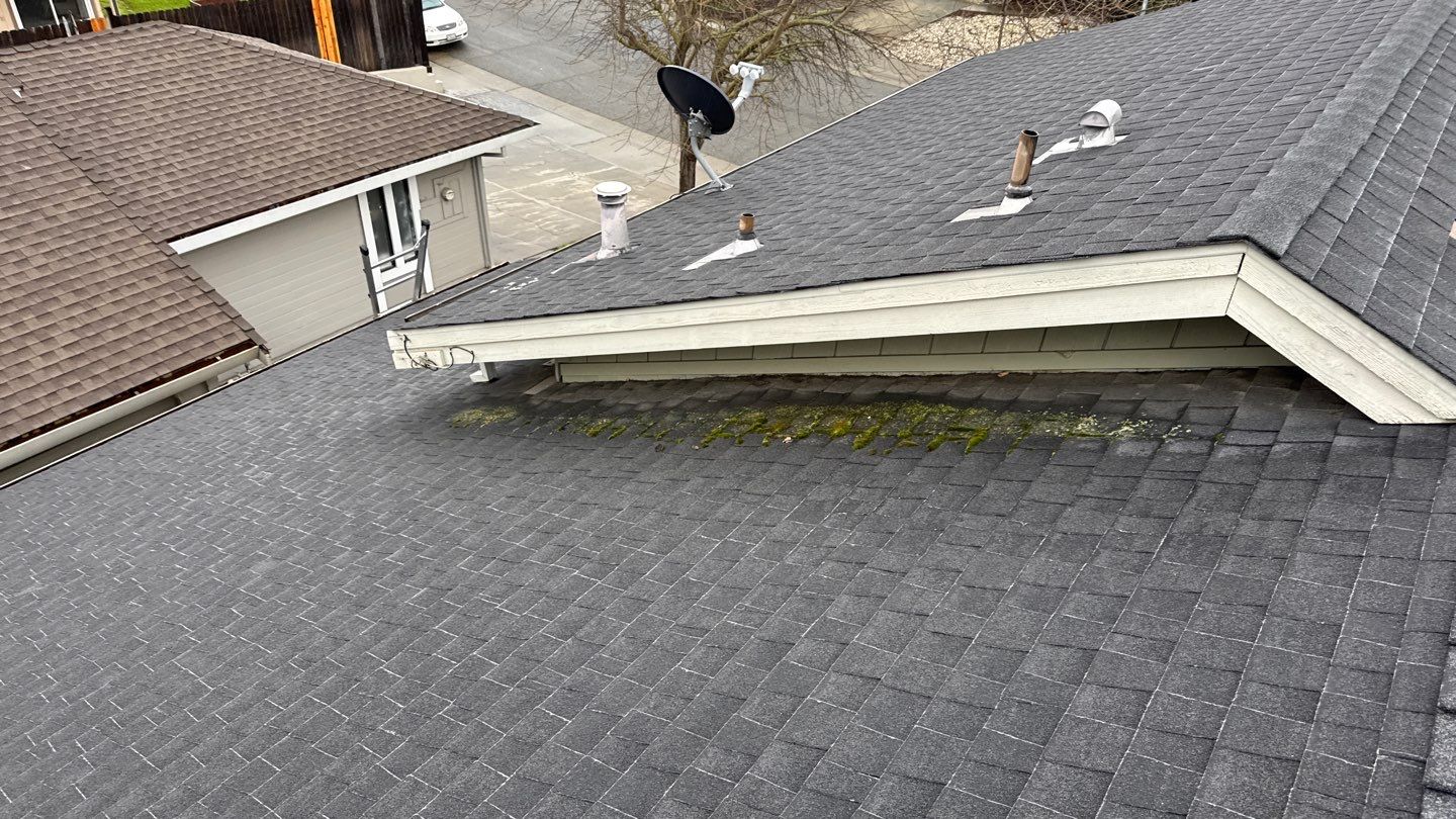 Project in Antelope by NuLead Construction Inc