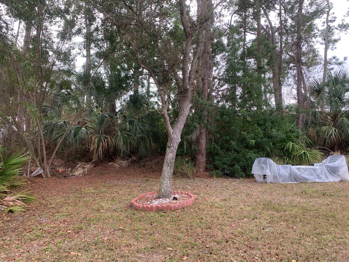 North Port, FL 6ft. Tall White Vinyl Privacy Fence by Asap fence and gates, LLC
