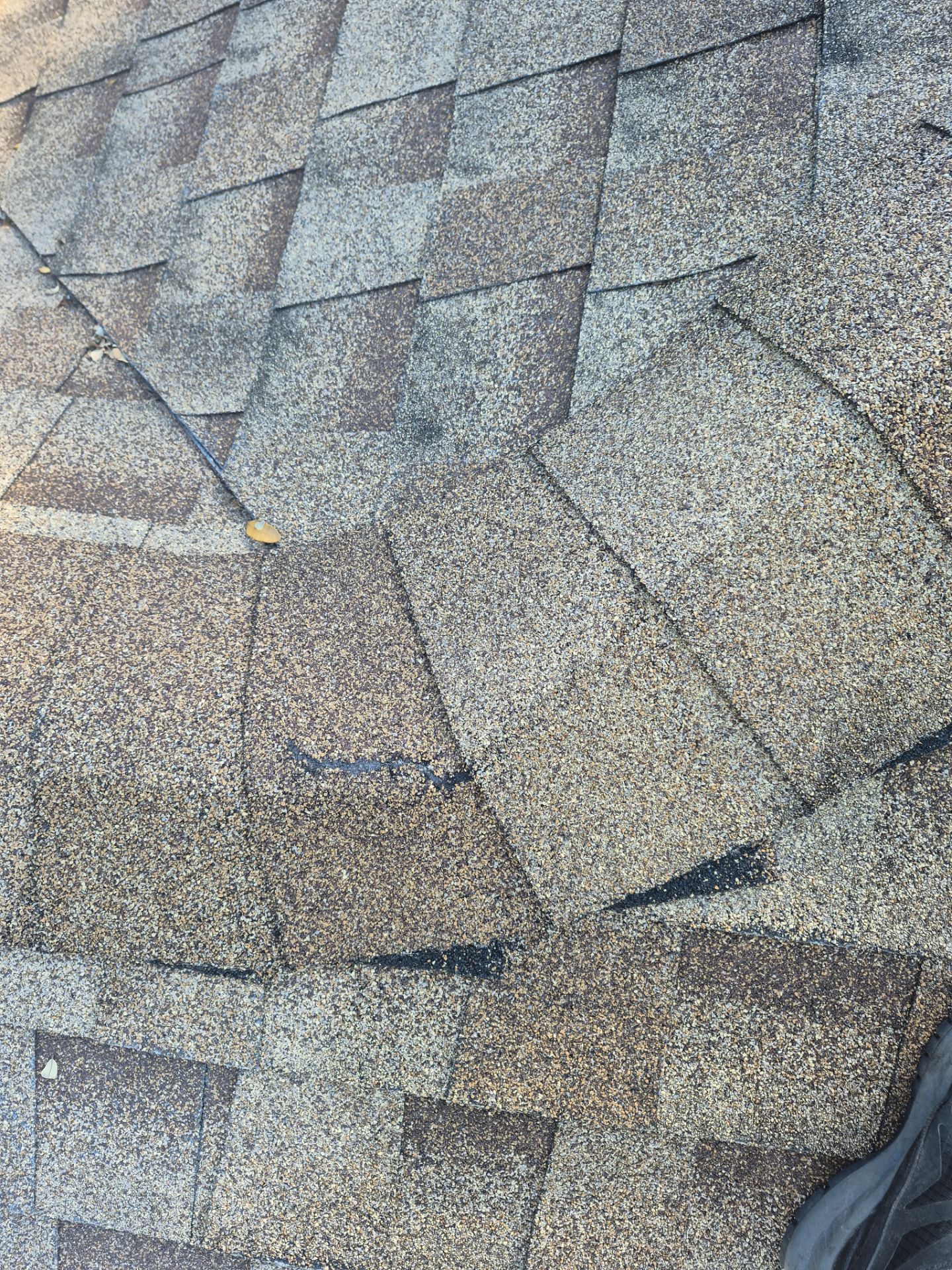 Project in Clearwater 33765 by Mitchell Roofing Company LLC