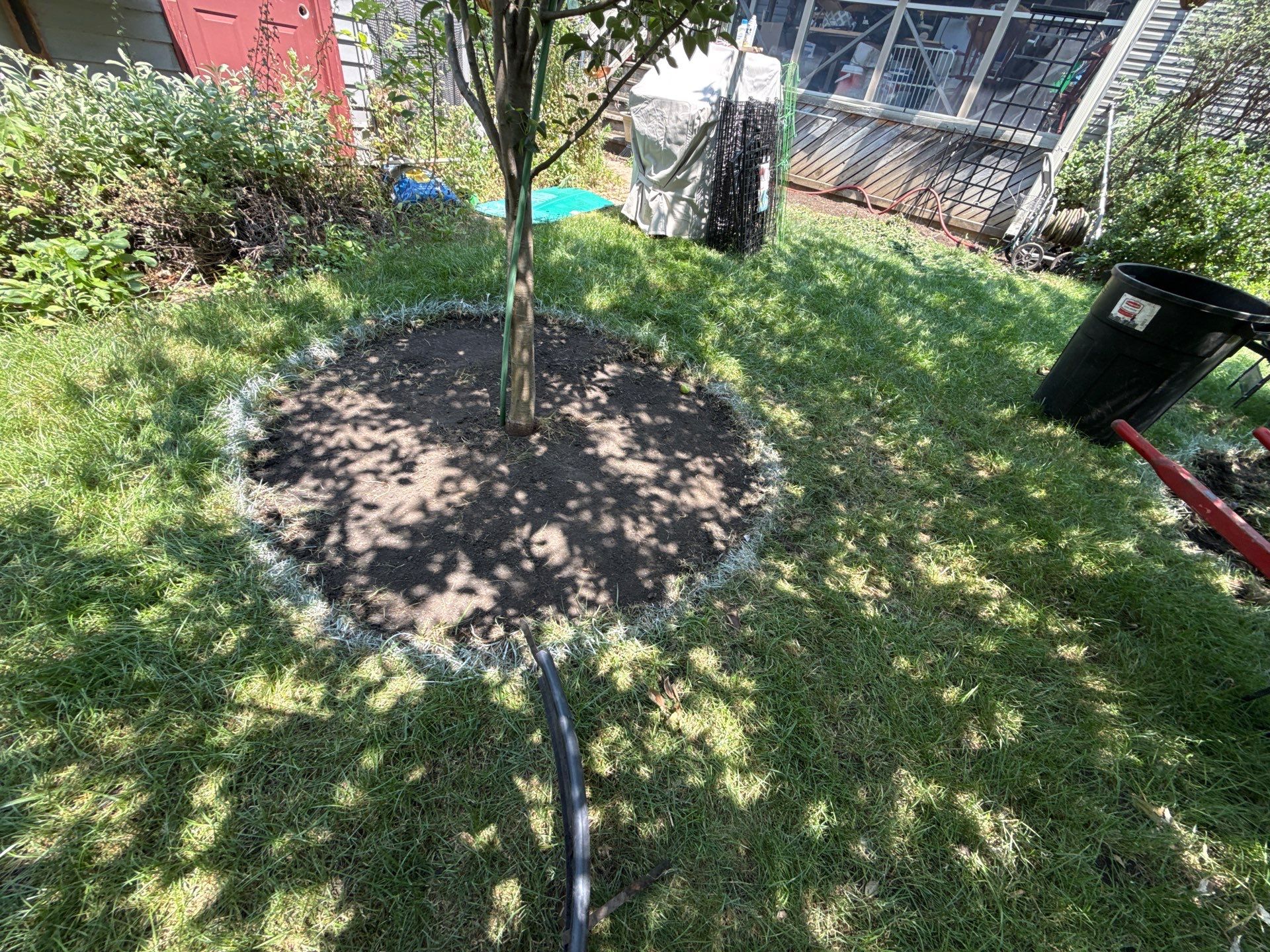 Donna L. - Arlington Heights, IL by A&N